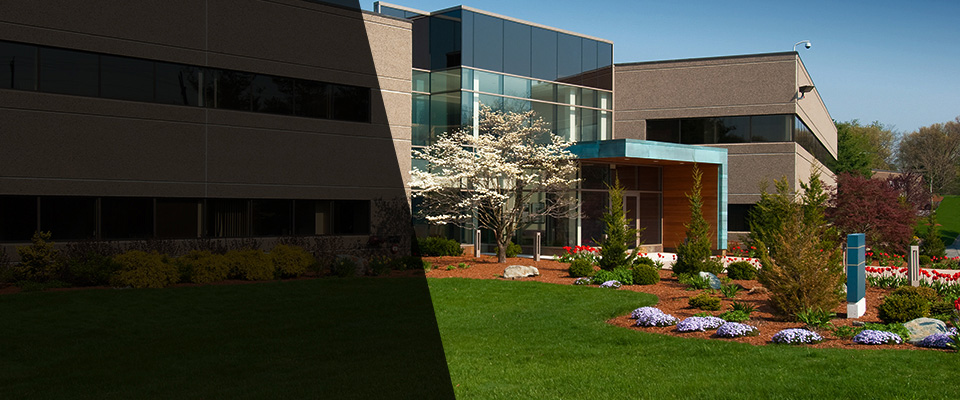 Bethel Park Landscapers