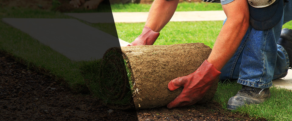 Bethel Park Landscapers